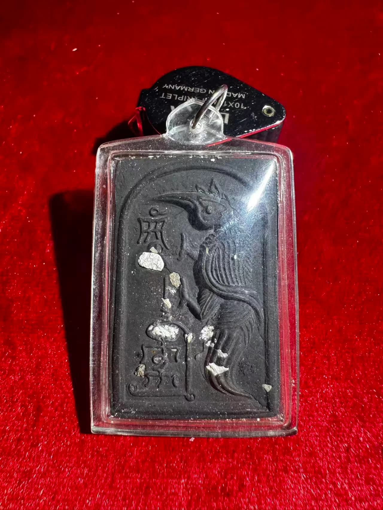 古巴丙 2540 人缘鸟