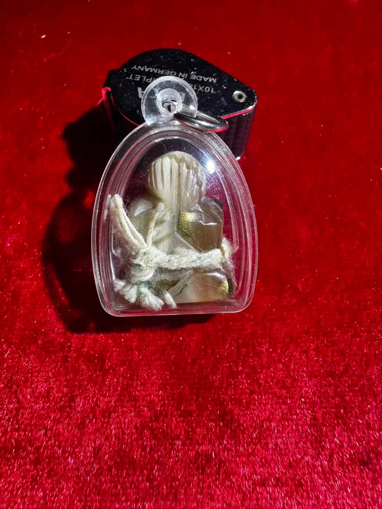 婆康迪 牛角必达