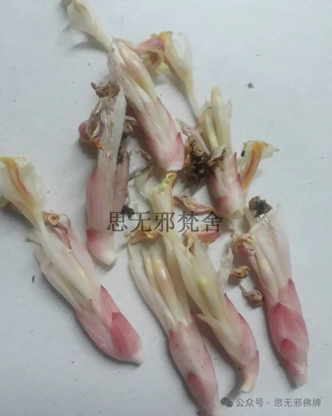 正文图片，点击放大